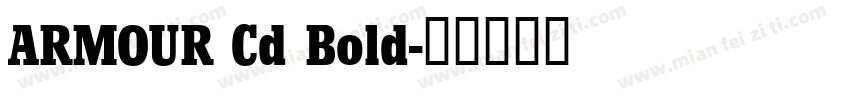 ARMOUR Cd Bold字体转换